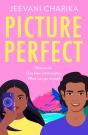 Picture Perfect - Preview