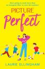Picture Perfect - Preview