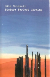 Capa do artigo Picture Perfect Morning - Cassete