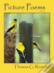 Capa do artigo Picture Poems