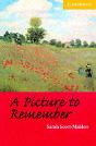 Picture To Remember - Preview
