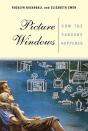 Picture Windows - Preview