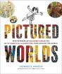 Pictured Worlds - Preview