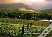 Capa do artigo Picturesque Winelands