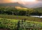 Picturesque Winelands - Preview