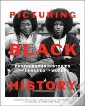 Capa do artigo Picturing Black History