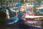 Picturing Cornwall - Preview