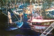 Capa do artigo Picturing Cornwall