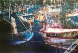 Capa do artigo Picturing Cornwall