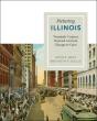 Picturing Illinois - Preview