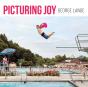 Picturing Joy - Preview