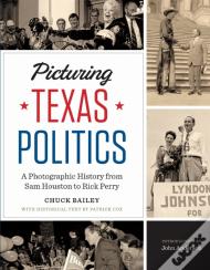 Picturing Texas Politics
