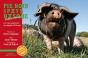 Pie Noir Du Pays Basque, Une Race Sauvee Par Une Poignee D'Hommes - Preview