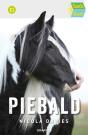 Piebald - Preview