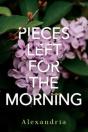 Pieces Left For The Morning - Preview