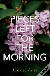 Capa do artigo Pieces Left For The Morning