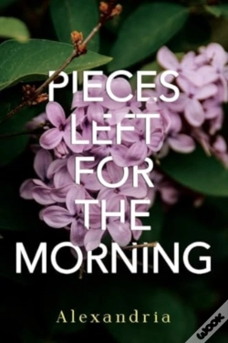 Capa do artigo Pieces Left For The Morning