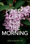 Pieces Left For The Morning