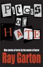 Pieces Of Hate - Preview