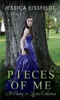 Pieces Of Me - Preview