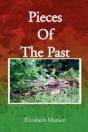 Pieces Of The Past - Preview