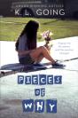 Pieces Of Why - Preview