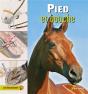 Pied Et Bouche - Preview