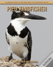 Capa do artigo Pied Kingfisher