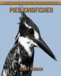 Pied Kingfisher - Preview