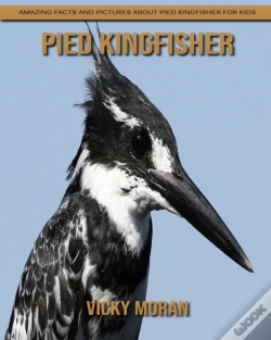 Capa do artigo Pied Kingfisher