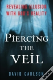 Capa do artigo Piercing The Veil