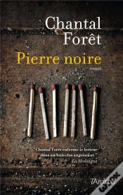 Capa do artigo Pierre Noire