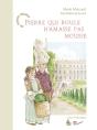 Pierre Qui Roule N'Amasse Pas Mousse - Preview
