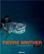 Pierre Winther - Preview