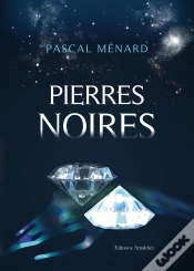Capa do artigo Pierres Noires