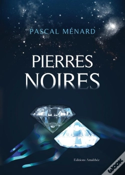 Capa do artigo Pierres Noires