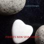 Pierres Non Seulement ; Conversations Avec Sakineh - Preview