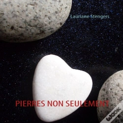 Capa do artigo Pierres Non Seulement ; Conversations Avec Sakineh