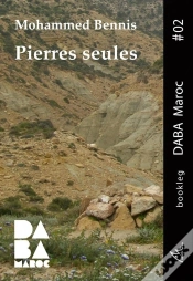 Capa do artigo Pierres Seules
