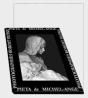 Pieta De Michel-Ange ; Portfolio - Preview