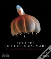 Pieuvre, Seiches Et Calamars