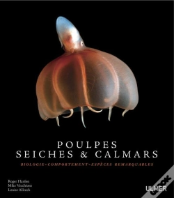 Capa do artigo Pieuvre, Seiches Et Calamars