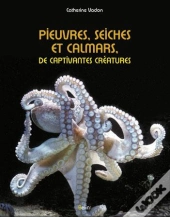 Pieuvres, Seiches Et Calmars ; De Captivantes Créatures