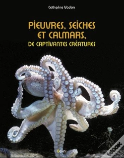 Capa do artigo Pieuvres, Seiches Et Calmars ; De Captivantes Créatures
