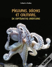 Capa do artigo Pieuvres, Seiches Et Calmars ; De Captivantes Créatures