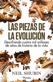 Capa do artigo Piezas De La Evolucion,Las