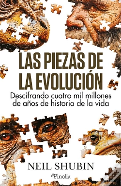Capa do artigo Piezas De La Evolucion,Las