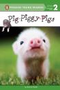 Pig-Piggy-Pigs - Preview