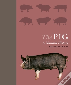 Capa do artigo Pig