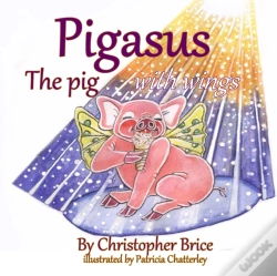 Capa do artigo Pigasus